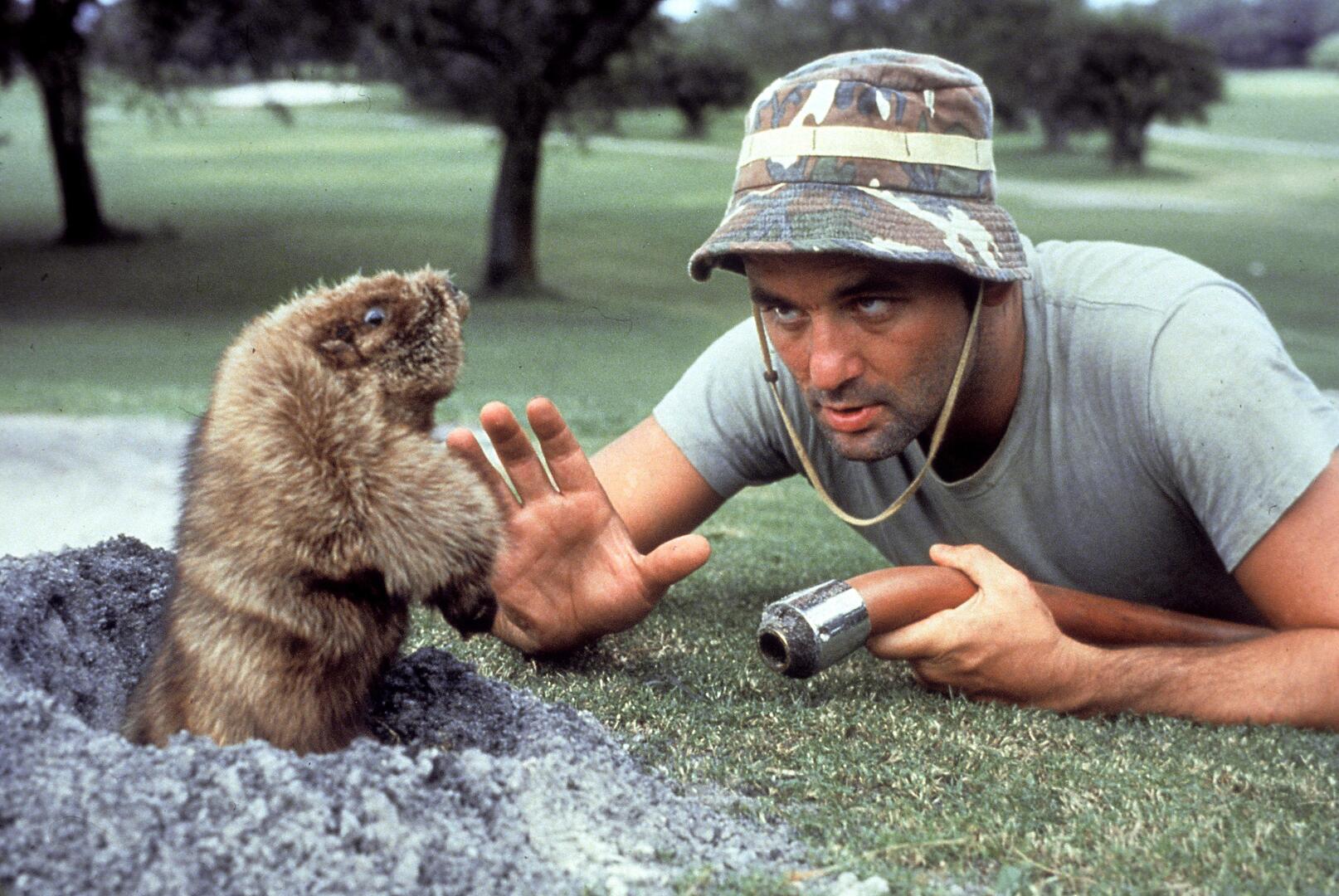 Bill Murray interacting with a gopher in Caddyshack.